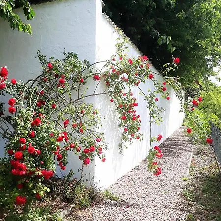Atrium 8 - Ungestort Entspannen Holiday home Einbeck